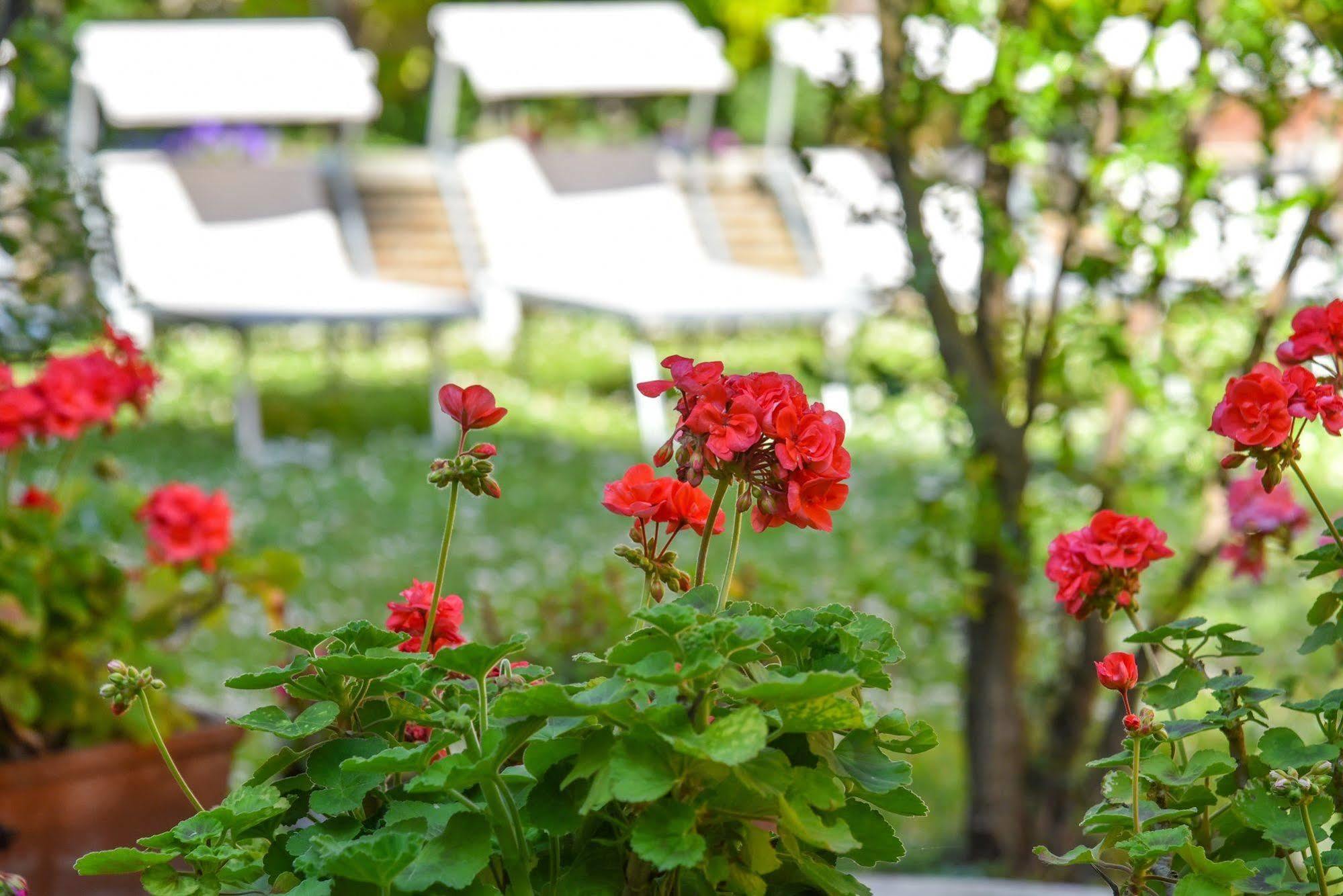 Hotel Sant'Andrea Ravenna Ngoại thất bức ảnh